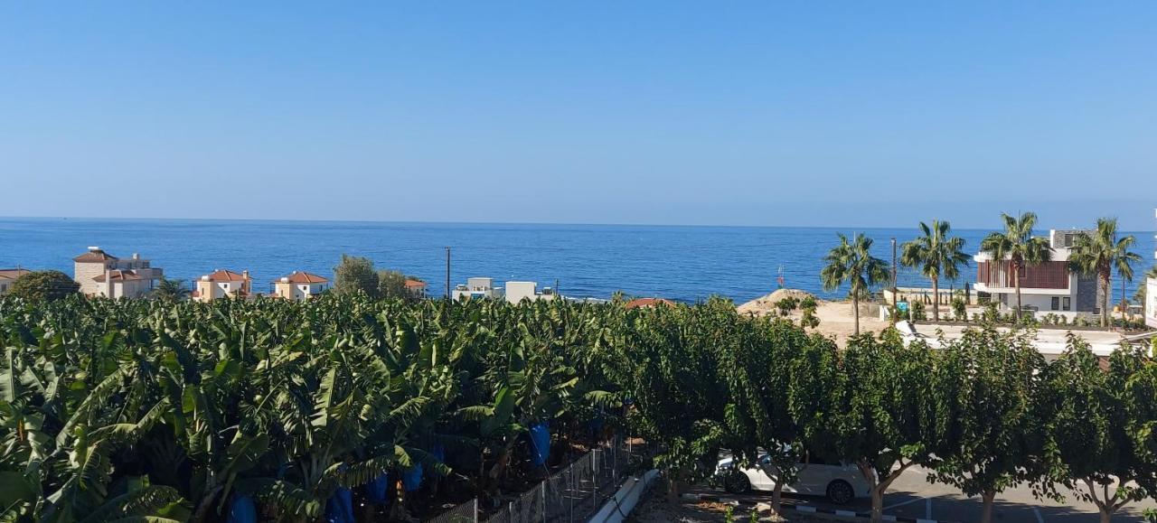 Harmony Seaview Apartments Paphos ภายนอก รูปภาพ